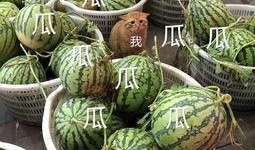 娱乐早吃瓜,揭秘明星幕后故事