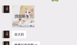 娱乐吃瓜酱聊天梗,吃瓜酱聊天梗背后的故事