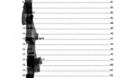 娱乐圈吃瓜集合pdf,从PDF看明星幕后故事