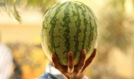 最近娱乐圈有什么瓜可吃,揭秘明星幕后故事与热点事件