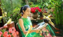 吃瓜娱乐社杨丽萍,吃瓜娱乐社中的舞蹈传奇