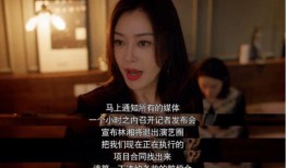 娱乐圈吃瓜网站视频,视频内容深度解析