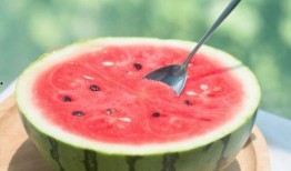 娱乐吃瓜酱广东,揭秘广东娱乐圈的幕后故事