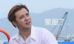 极限挑战吃瓜娱乐圈,揭秘娱乐圈背后的“吃瓜”故事