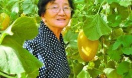 娱乐吃瓜酱老人养凤凰,揭秘娱乐界老人与神秘凤凰的传奇故事