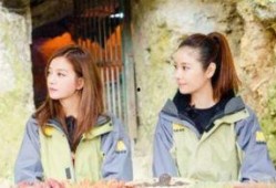 吃瓜娱乐圈万万没想到,揭秘“吃瓜群众”万万没想到的真相