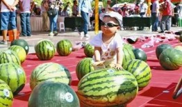 娱乐吃瓜君河南,吃瓜君带你揭秘本土明星幕后故事