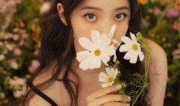 娱乐吃瓜欧阳娜娜小说在线阅读,娱乐圈的甜蜜瓜田