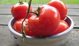 娱乐吃瓜蜀黍番茄娱乐