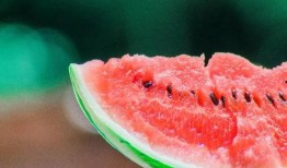 娱乐吃瓜君高压水枪,高压水枪背后的娱乐风云