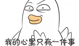 娱乐吃瓜君做错了啥,揭秘其犯错的惊人真相