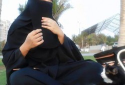 娱乐吃瓜君说七七视频,娱乐吃瓜君带你揭秘娱乐圈幕后故事