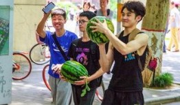 吃瓜娱乐学校,揭秘娱乐圈背后的秘密与趣味