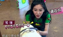 娱乐吃瓜酱笑声视频大全,笑翻天！娱乐吃瓜酱笑声视频大全集锦