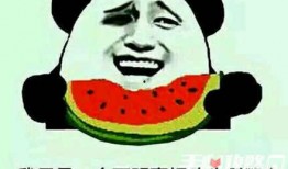 娱乐吃瓜酱聊天梗,吃瓜酱聊天梗背后的故事