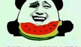 娱乐吃瓜有趣名字,盘点那些搞笑又好玩的明星昵称