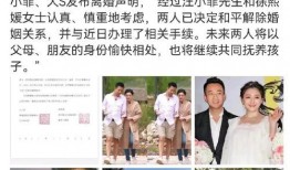 年度吃瓜盘点娱乐圈,热点事件回顾与反思