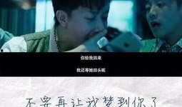 娱乐圈吃瓜文案说说图片,吃瓜群众视角下的明星幕后故事